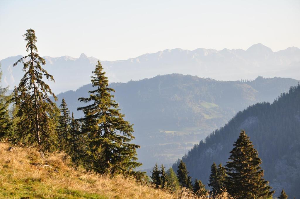 Pension Posauner Dorfgastein Ngoại thất bức ảnh